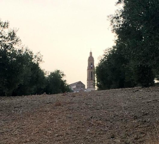 Vista paisajista (11)